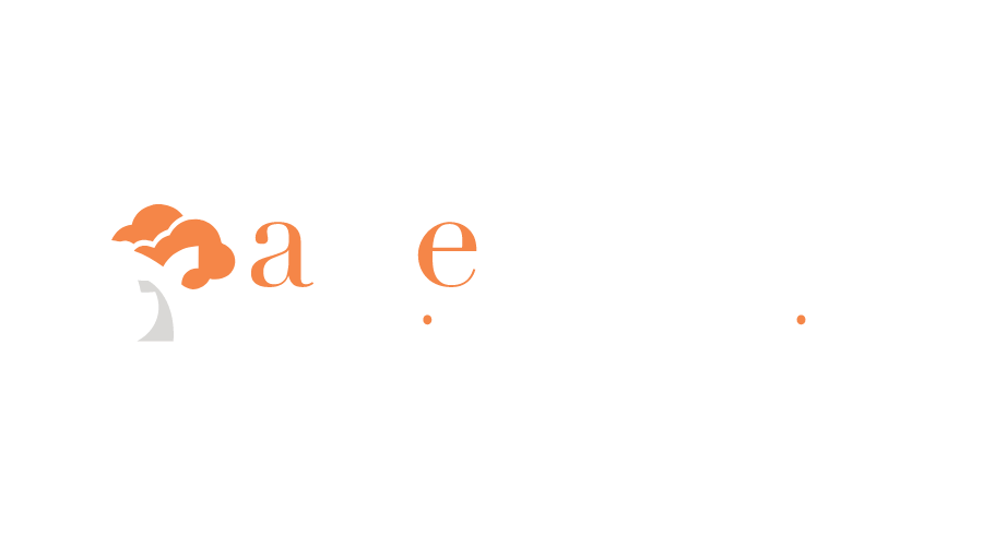 Logo de AE Assessment
